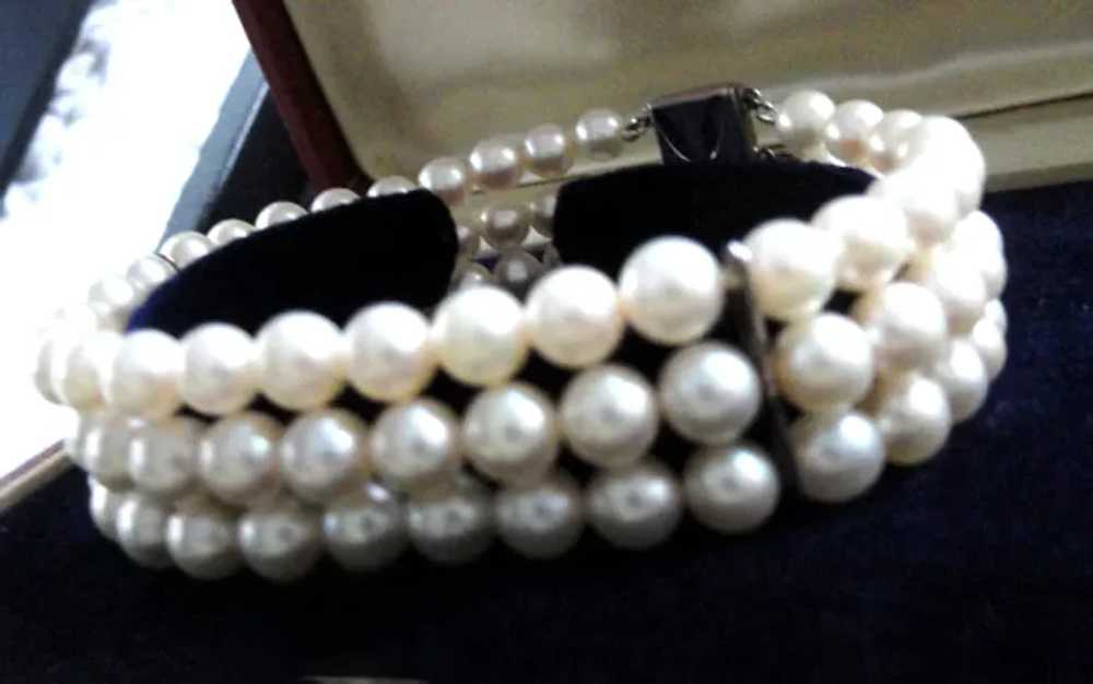 Estate Mikimoto Cultured Pearl Triple Strand Brac… - image 4