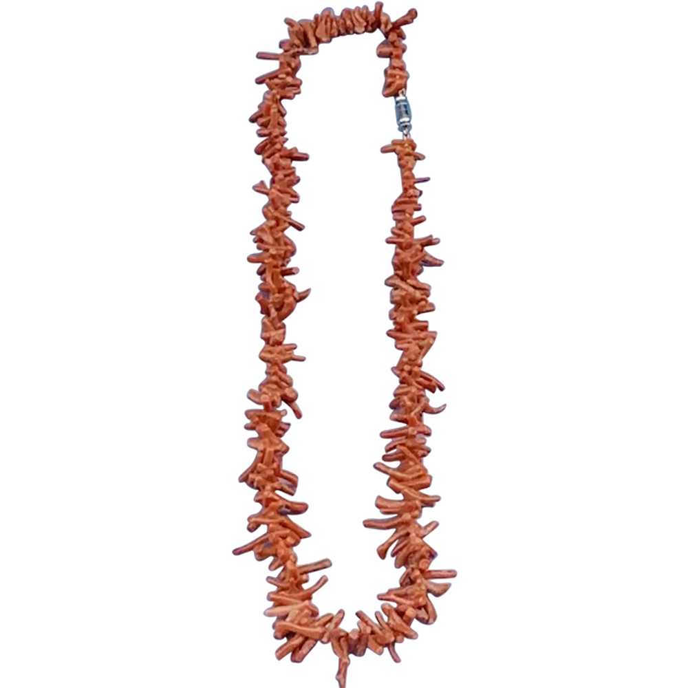 Coral Necklace, Victorian - image 1