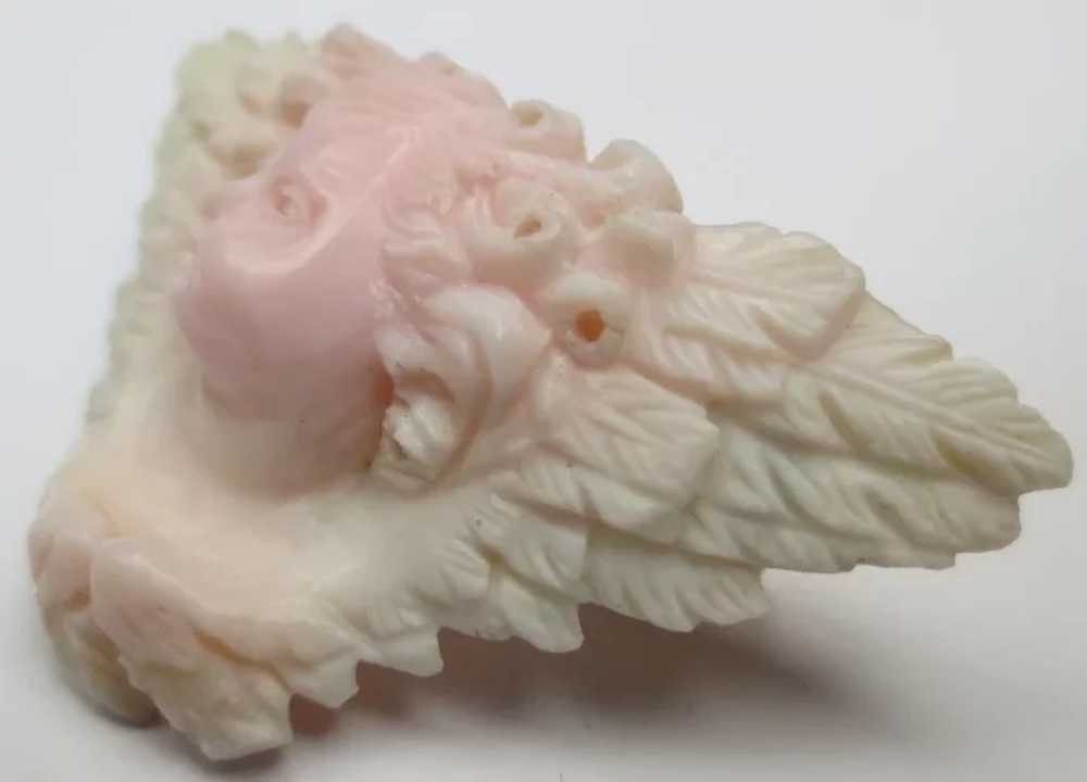 RARE Victorian Carved Angel Skin Coral Cherub & W… - image 2
