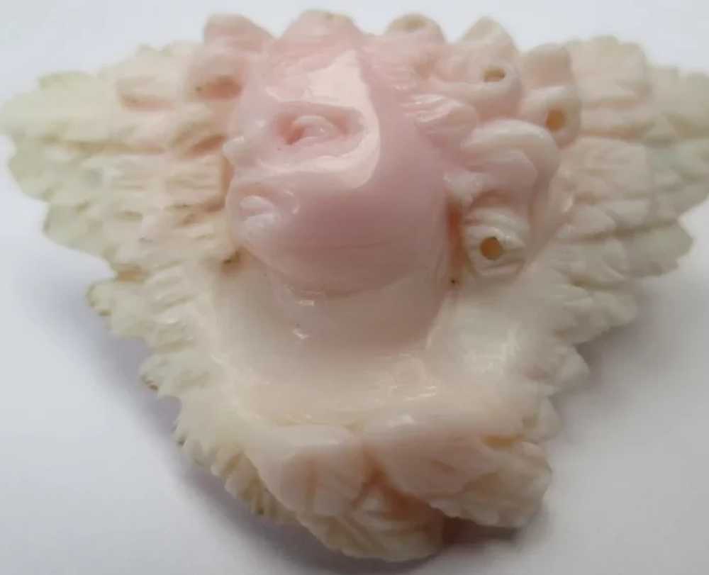 RARE Victorian Carved Angel Skin Coral Cherub & W… - image 3