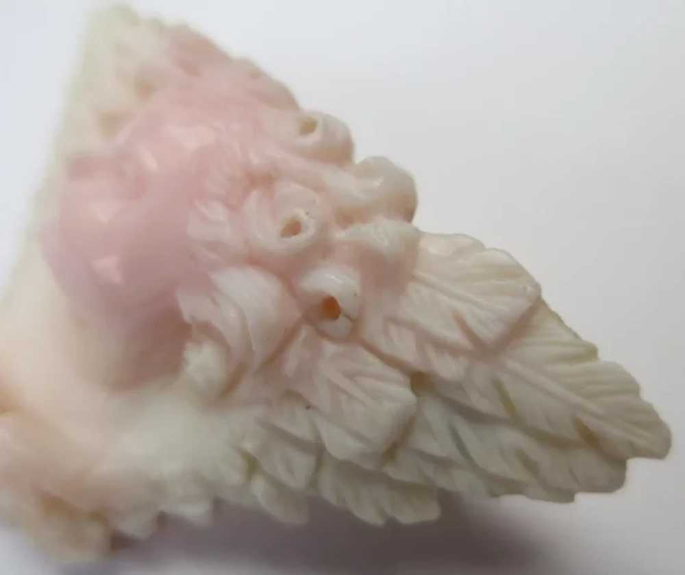 RARE Victorian Carved Angel Skin Coral Cherub & W… - image 4