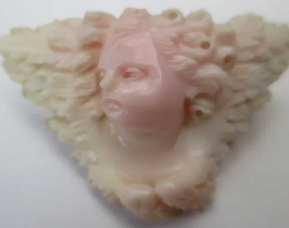 RARE Victorian Carved Angel Skin Coral Cherub & W… - image 5