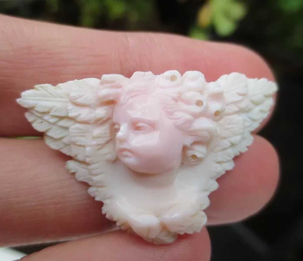 RARE Victorian Carved Angel Skin Coral Cherub & W… - image 7
