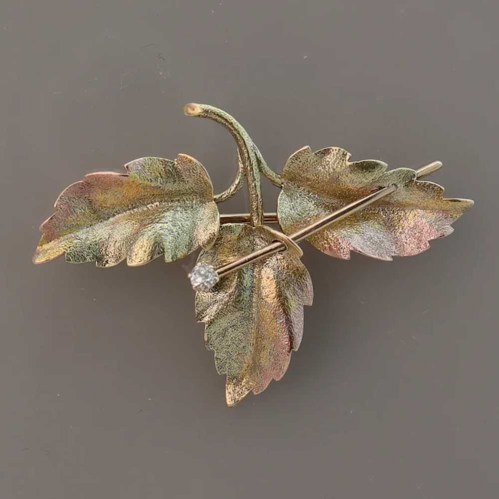Hedges & Co Autumn Leaves Antique Diamond Multi T… - image 3