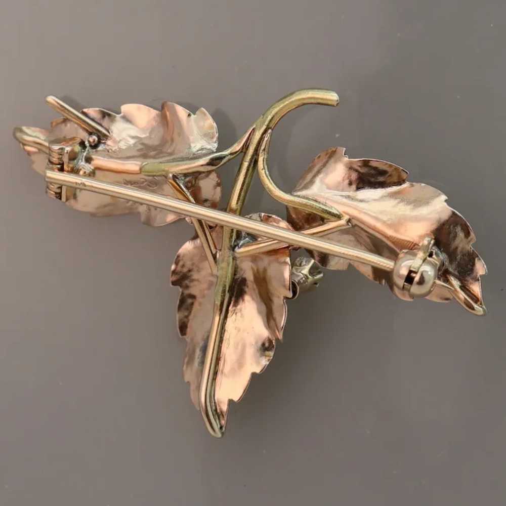 Hedges & Co Autumn Leaves Antique Diamond Multi T… - image 4