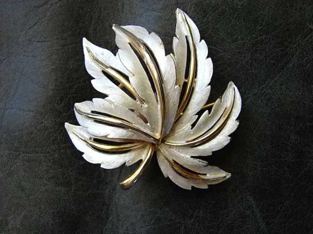 Costume Jewelry Superb Costume Brooch Pin Designe… - image 1