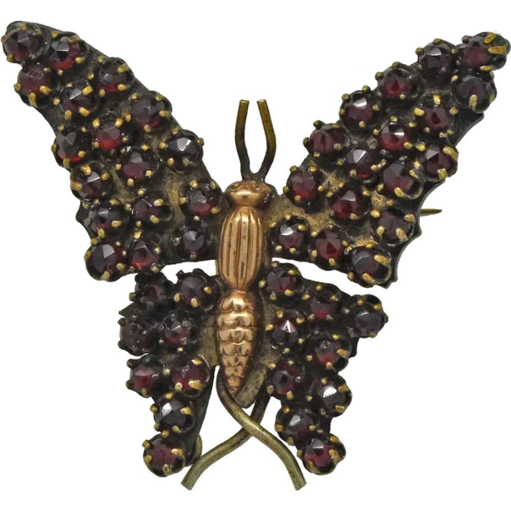 Antique Bohemian Garnet Butterfly Figural brooch … - image 1