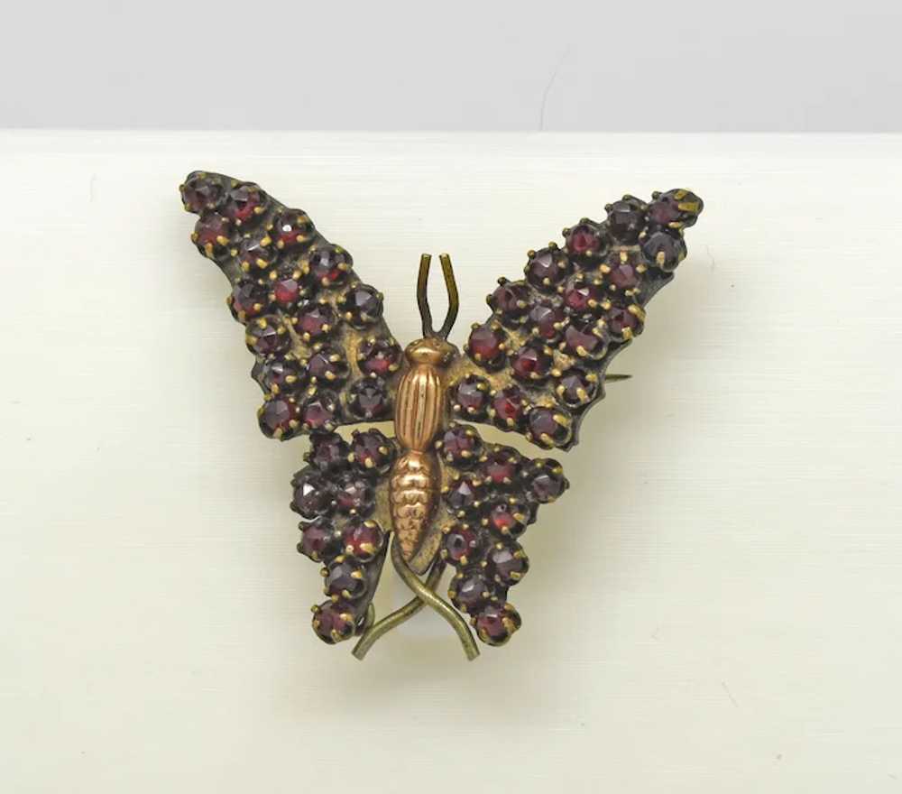 Antique Bohemian Garnet Butterfly Figural brooch … - image 2
