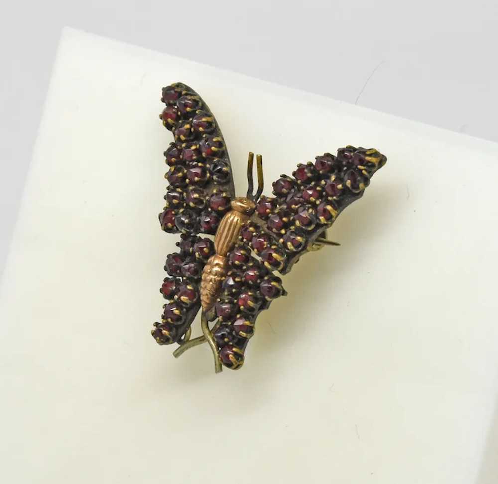 Antique Bohemian Garnet Butterfly Figural brooch … - image 3