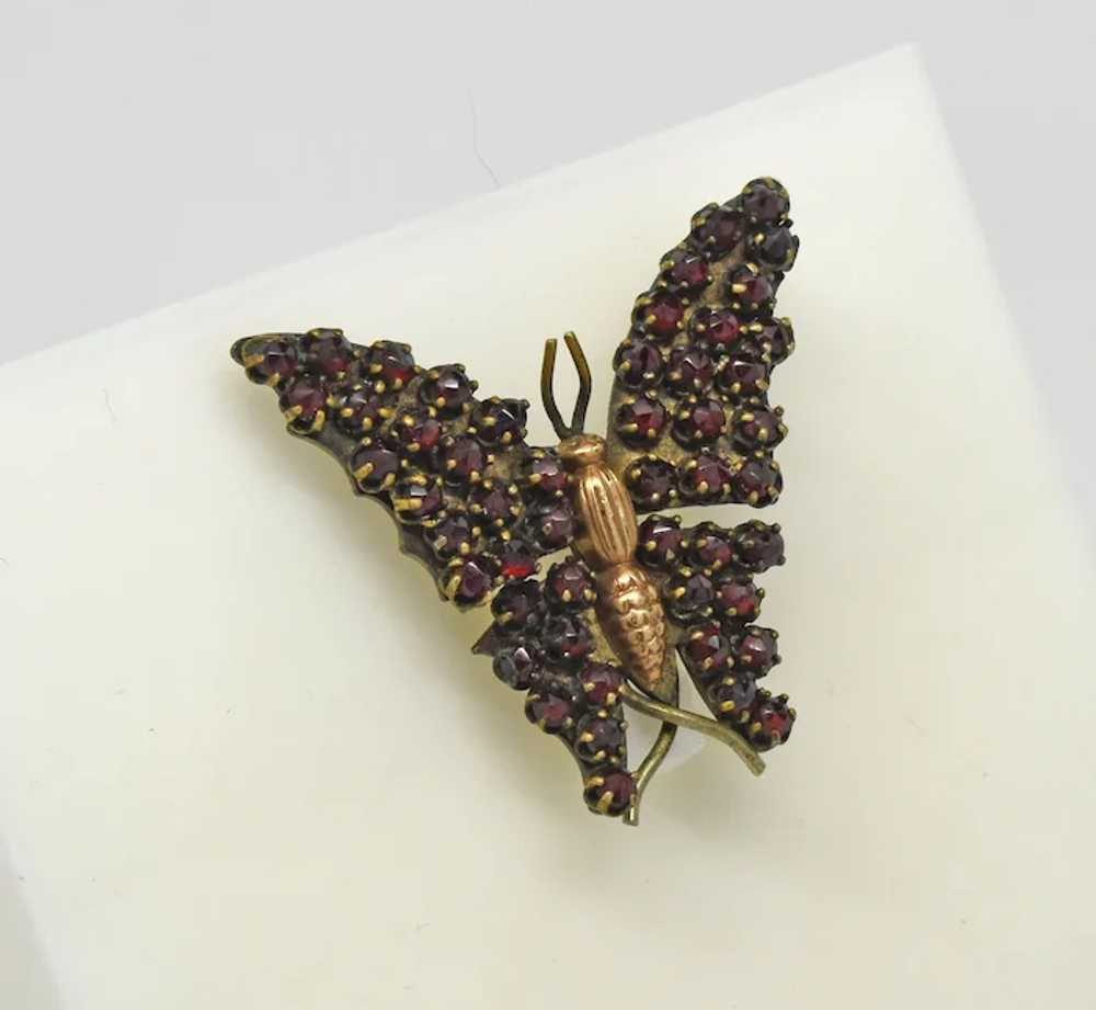 Antique Bohemian Garnet Butterfly Figural brooch … - image 4
