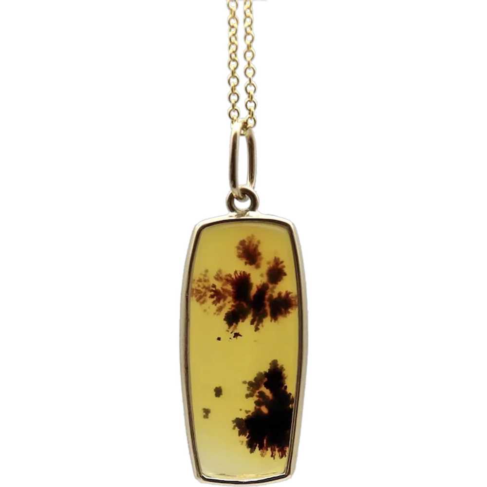 14K Gold Landscape Agate Pendant - image 1