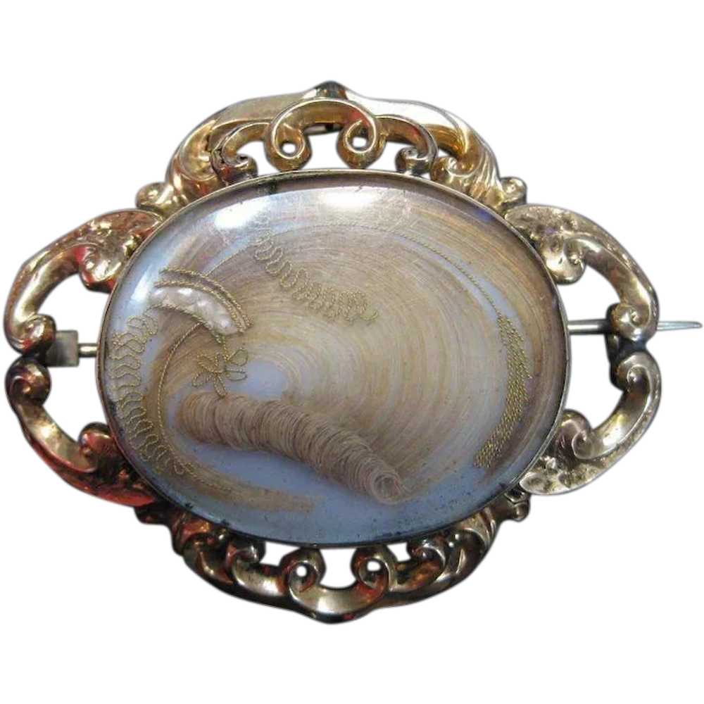 Victorian Hair and Seed Pearl Brooch - image 1