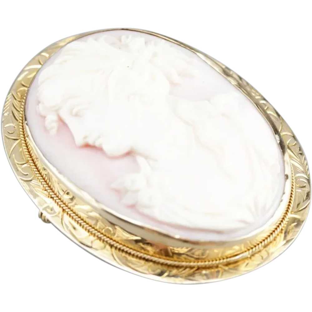 Vintage Pink Shell Cameo Brooch or Pendant - image 1