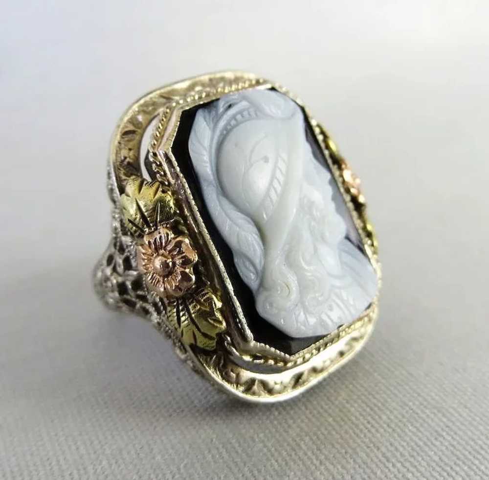 Circa 1900 Lady's 14K Tri-Colored Gold Agate Came… - image 5