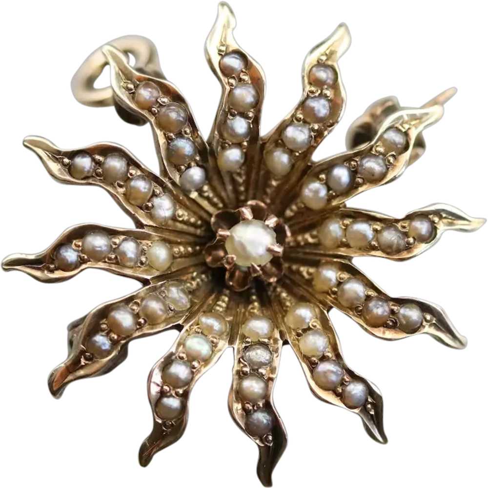 Victorian Seed Pearl Starburst Pin or Pendant - image 1