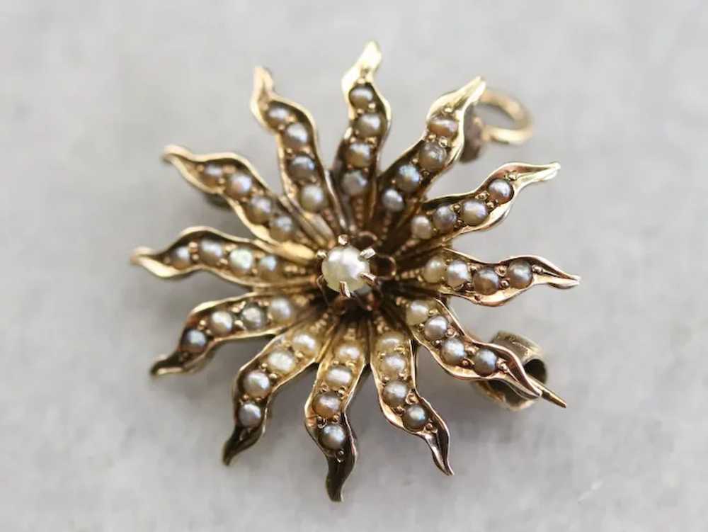 Victorian Seed Pearl Starburst Pin or Pendant - image 2