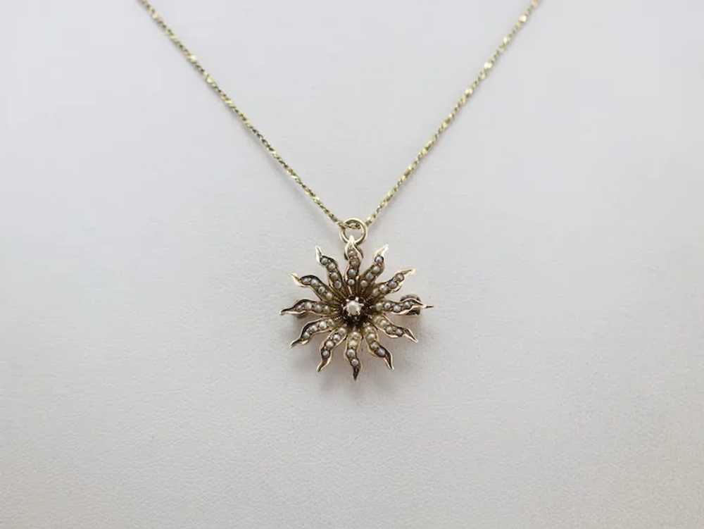 Victorian Seed Pearl Starburst Pin or Pendant - image 8