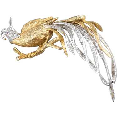 Luxurious Diamond Bird Statement Brooch