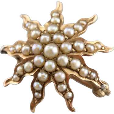 Antique Seed Pearl Starburst Brooch, Victorian Go… - image 1