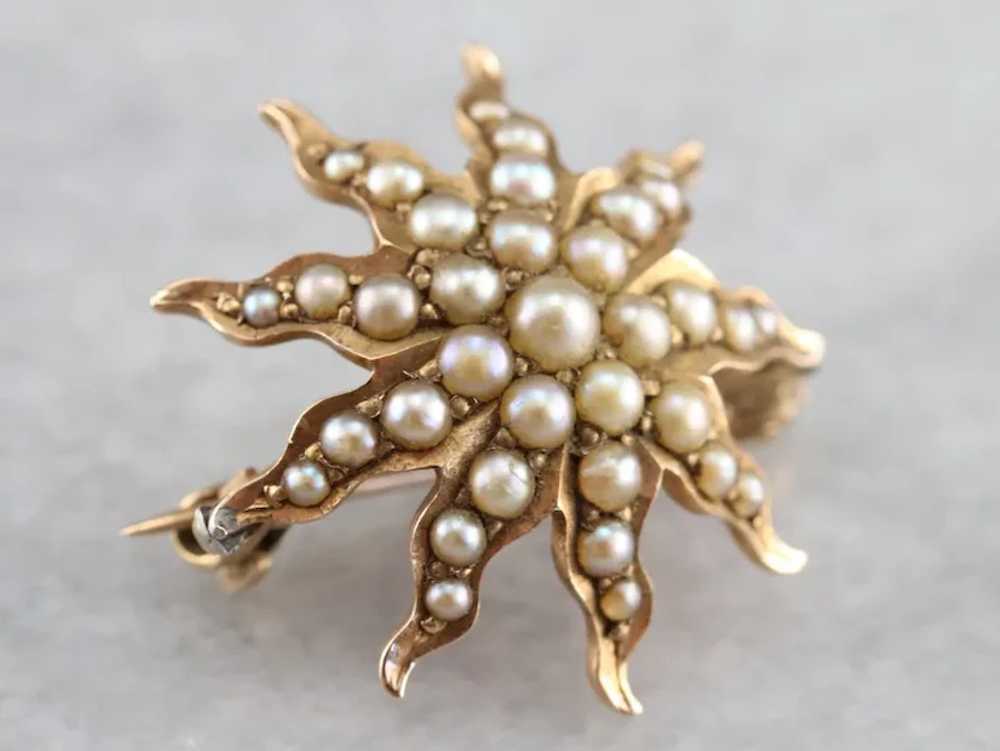 Antique Seed Pearl Starburst Brooch, Victorian Go… - image 2