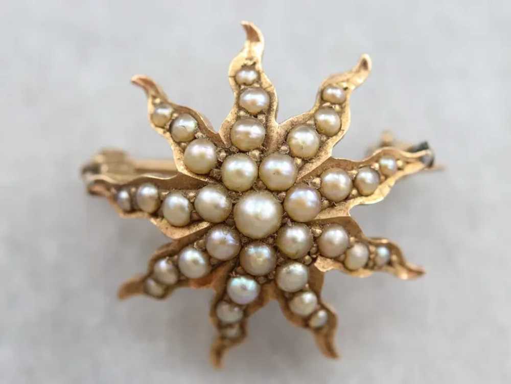 Antique Seed Pearl Starburst Brooch, Victorian Go… - image 3