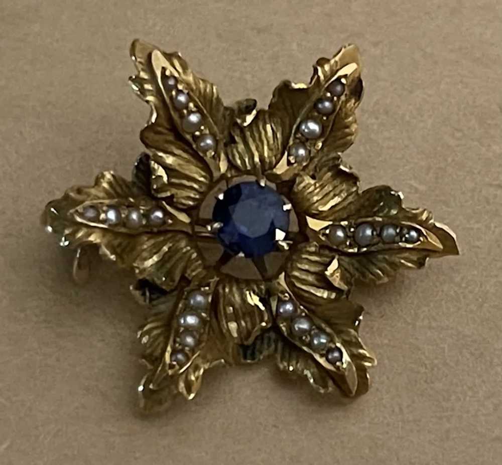 Antique 14k Sapphire Pearl Brooch/Pendant - image 4