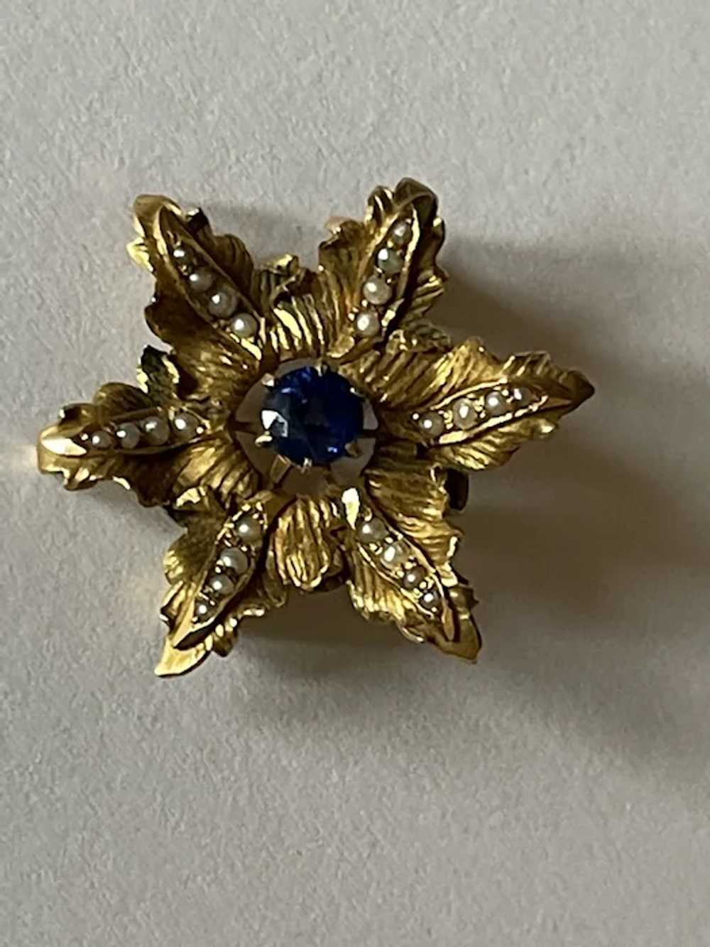 Antique 14k Sapphire Pearl Brooch/Pendant - image 5