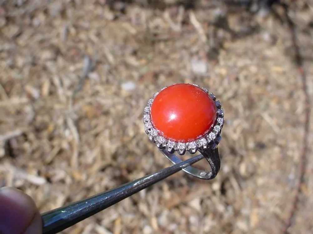 Vintage 1930s Red Coral Italy Made 18K White Gold… - image 9