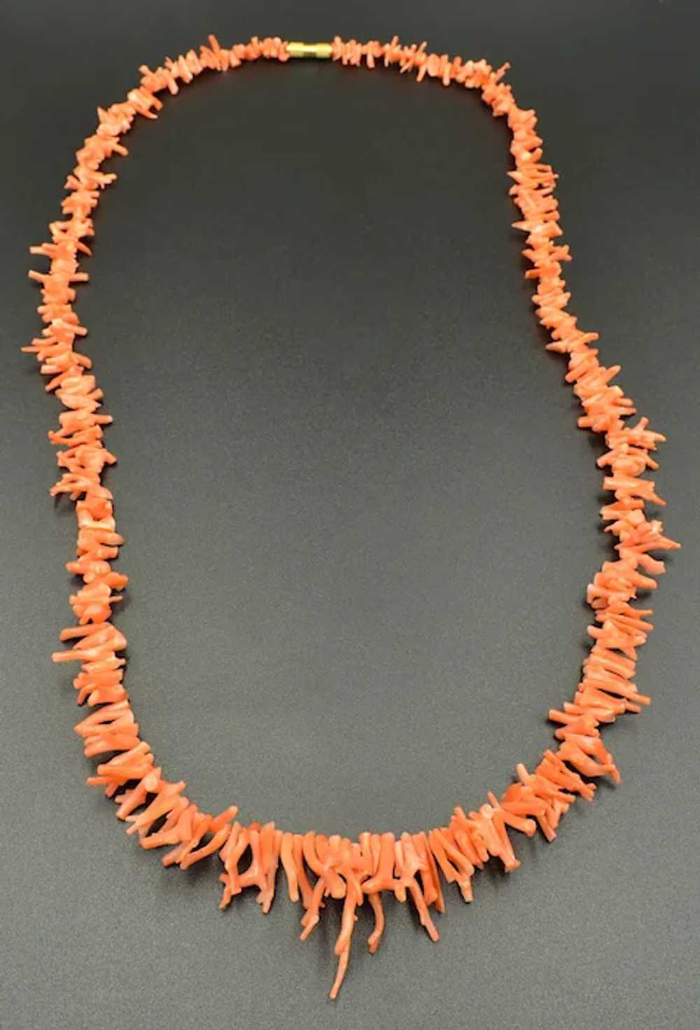 Branch Coral Necklace - image 4