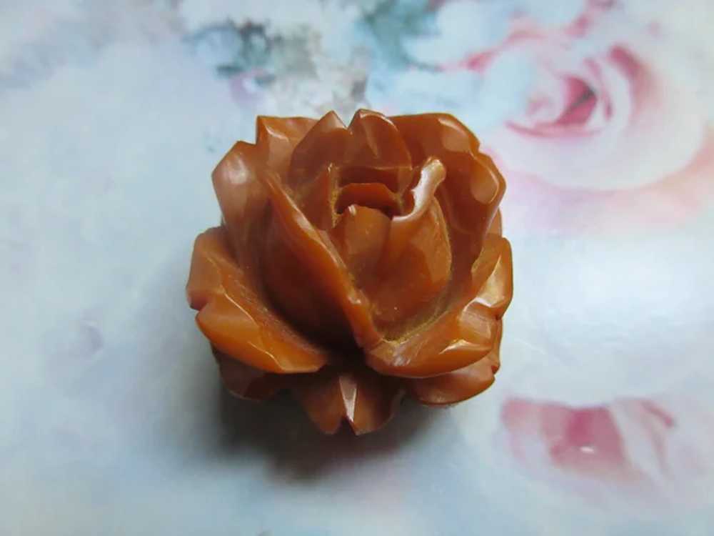 Older Vintage Bakelite Rose Pin - image 6