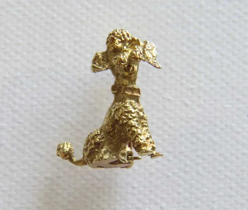 Antique 14 k yellow gold poodle brooch, 19th cent… - image 2