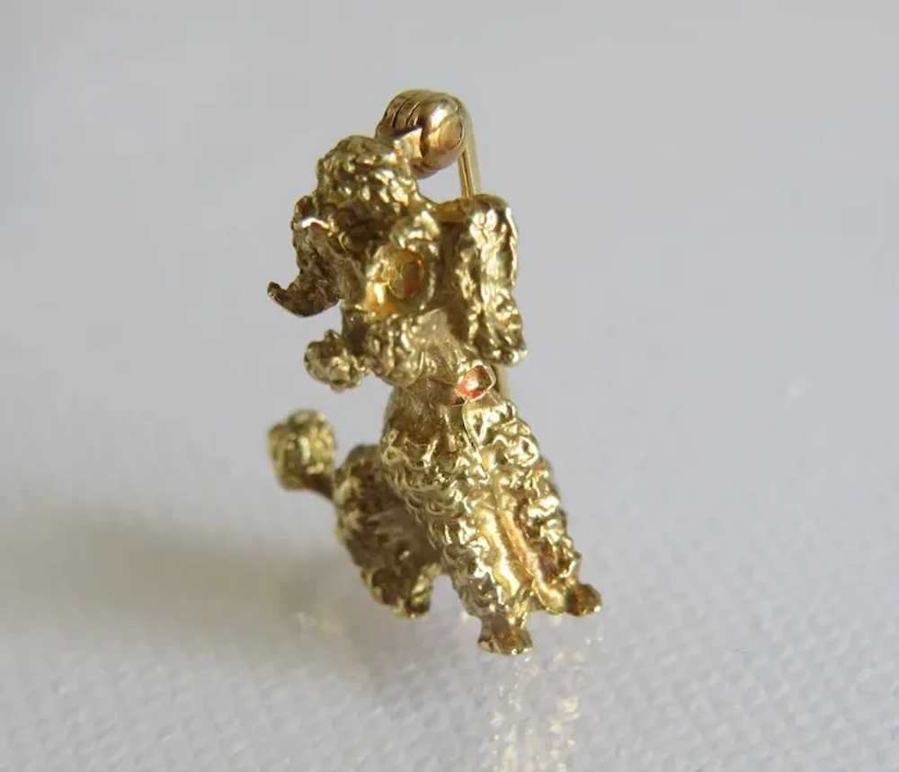 Antique 14 k yellow gold poodle brooch, 19th cent… - image 3