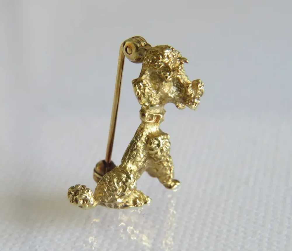 Antique 14 k yellow gold poodle brooch, 19th cent… - image 6