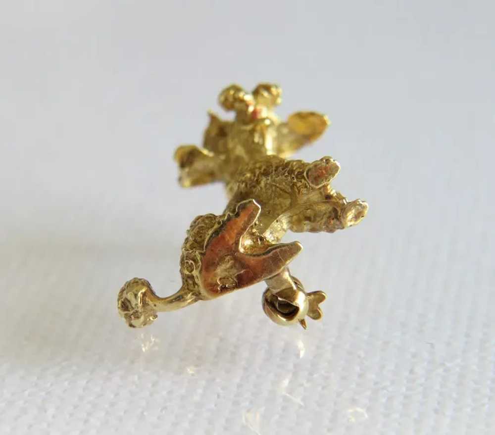 Antique 14 k yellow gold poodle brooch, 19th cent… - image 8