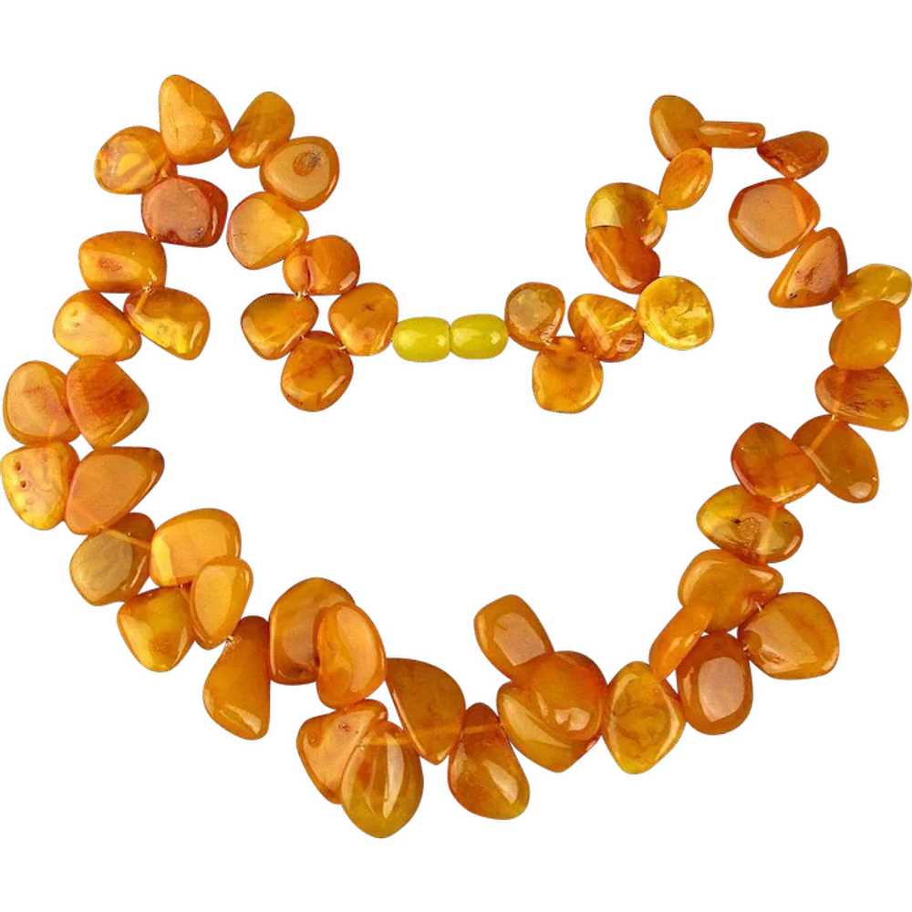 Vintage Egg Yolk Baltic Amber Bead Necklace - image 1