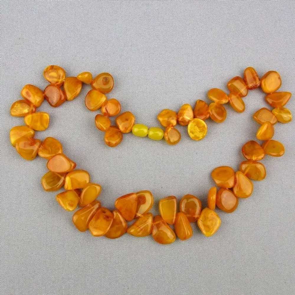 Vintage Egg Yolk Baltic Amber Bead Necklace - image 3