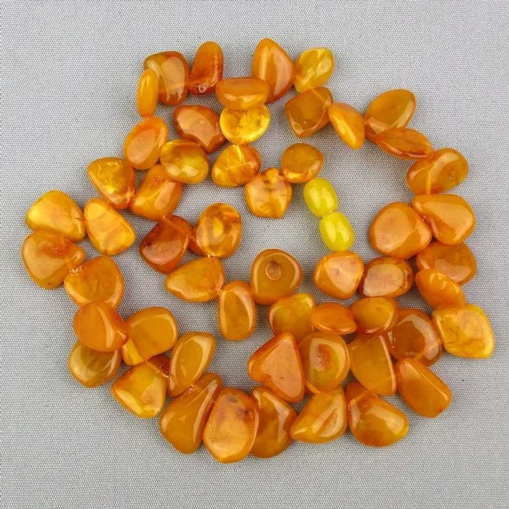 Vintage Egg Yolk Baltic Amber Bead Necklace - image 4