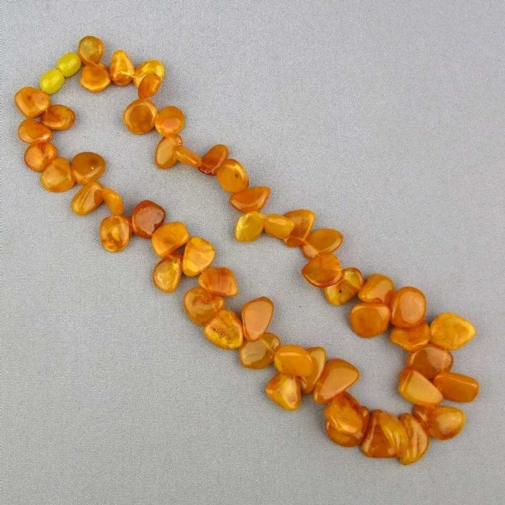 Vintage Egg Yolk Baltic Amber Bead Necklace - image 5