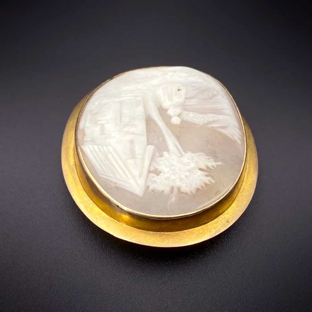 Antique 10K & Carved Shell Cameo Brooch - image 4
