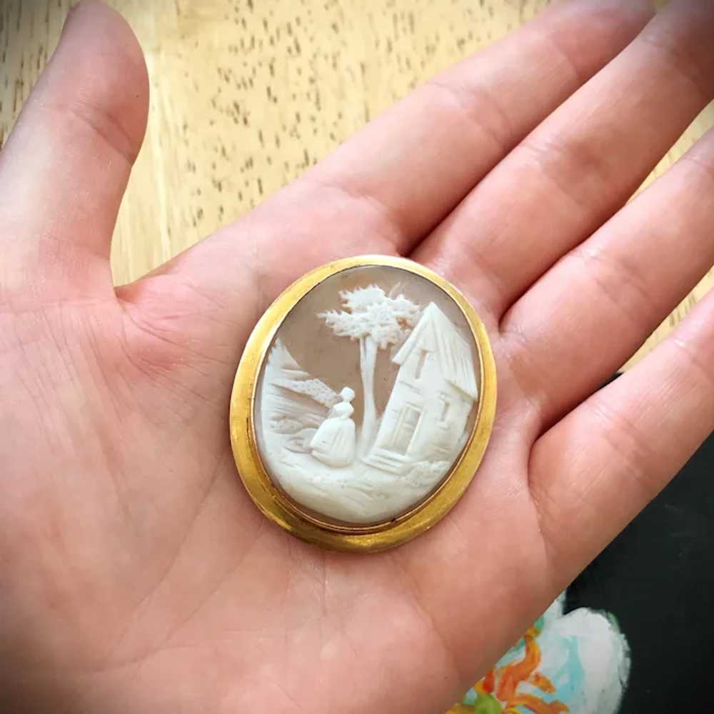 Antique 10K & Carved Shell Cameo Brooch - image 7