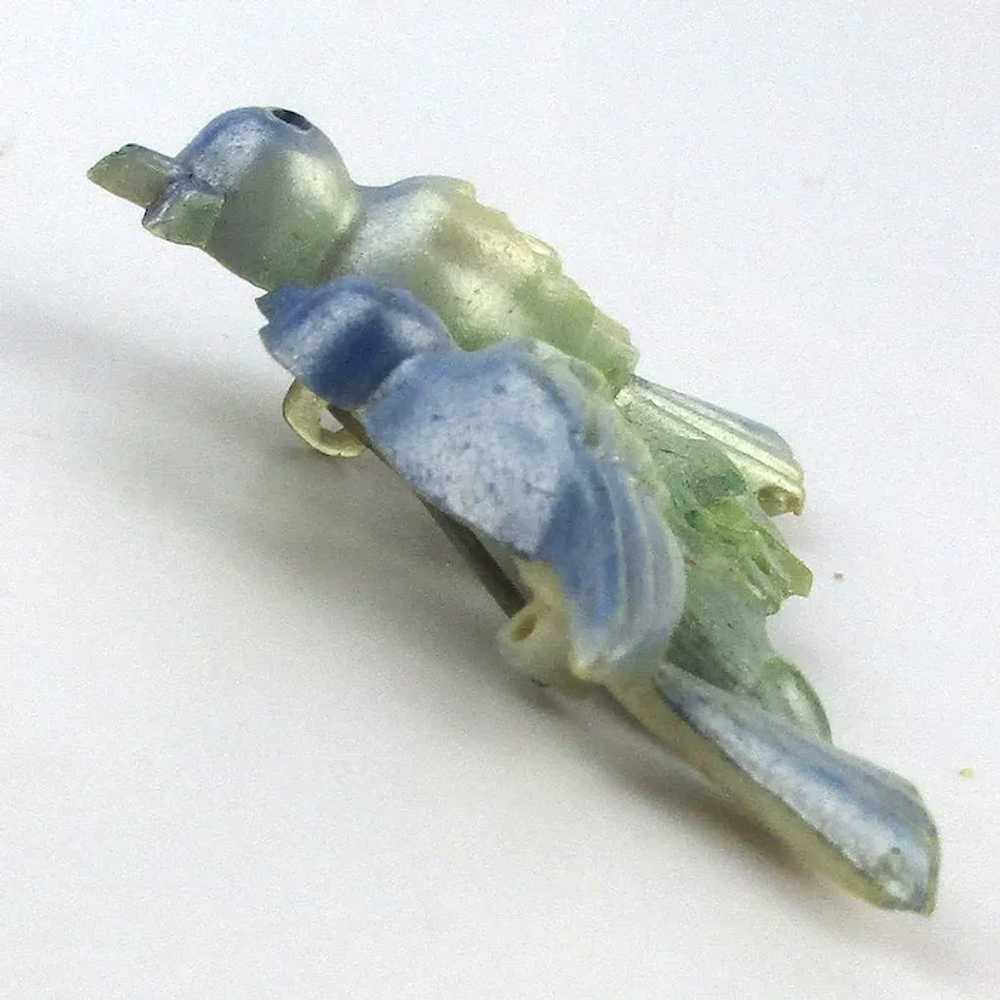 Vintage 1930s Celluloid Pin Brooch - Birds on a L… - image 2