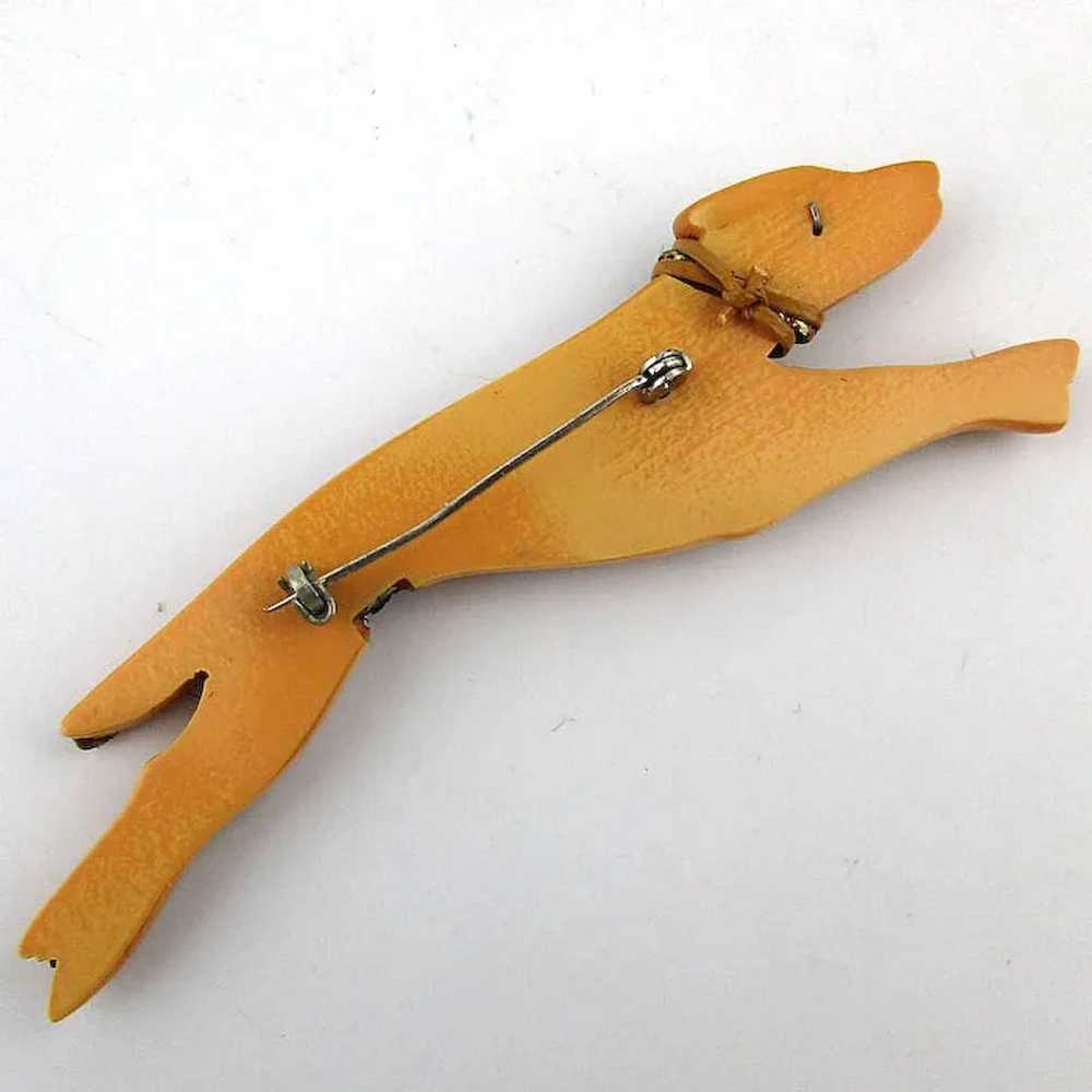 Rare Old Bakelite Greyhound Dog Pin w/ Fur - Uniq… - image 3