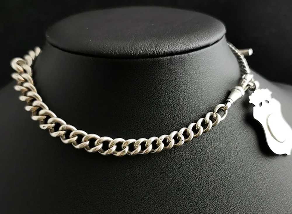 Antique Victorian silver Albert chain, watch chai… - image 11