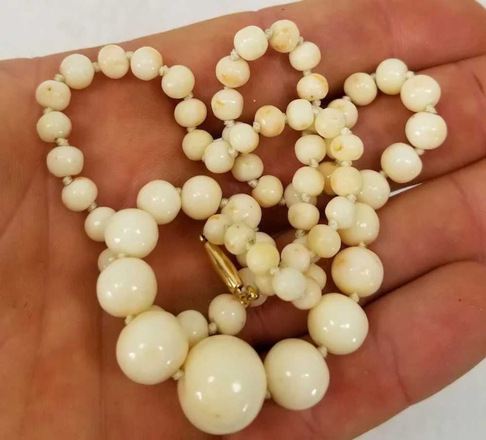 Peachy Dream : Vintage Angel Skin Coral Bead Necklace with 9ct