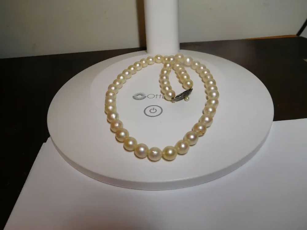 Cream White Freshwater Cultured Pearl Necklace 7.… - image 11