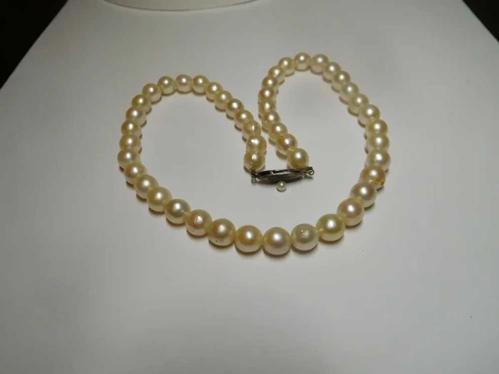 Cream White Freshwater Cultured Pearl Necklace 7.… - image 12