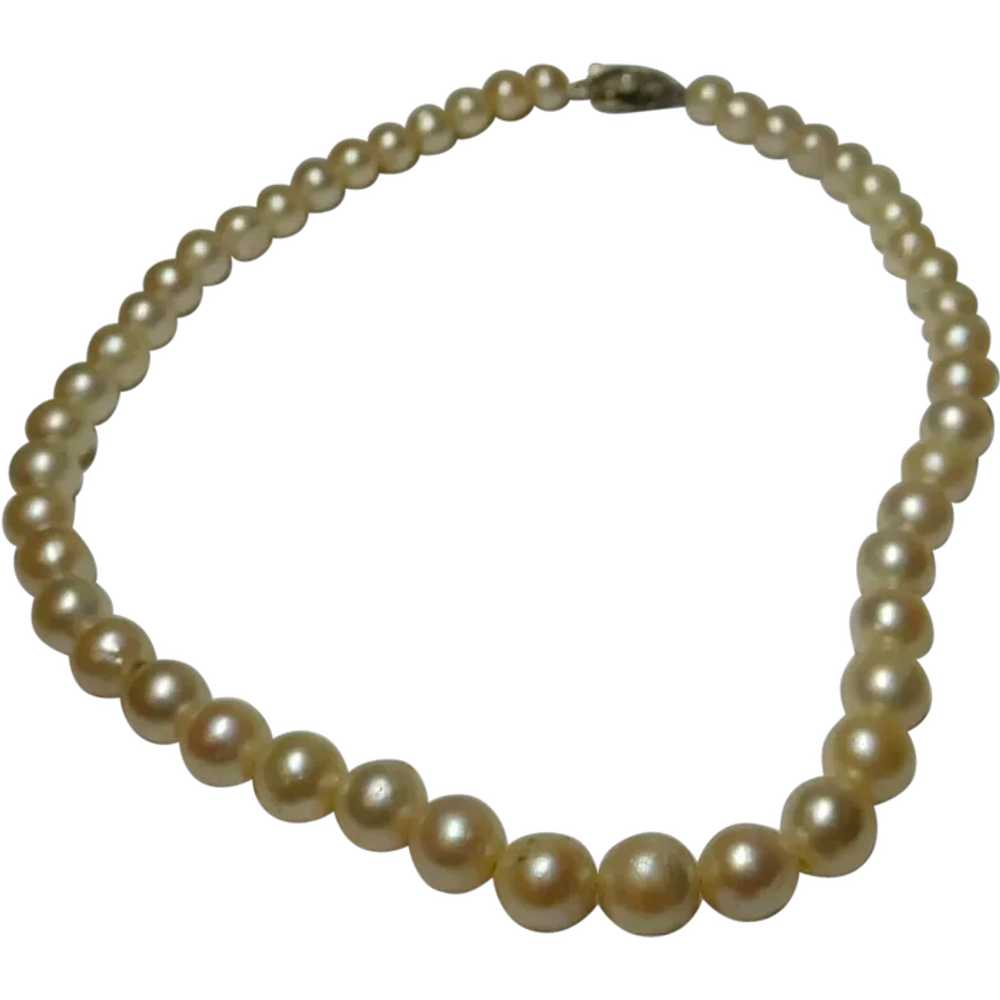 Cream White Freshwater Cultured Pearl Necklace 7.… - image 1