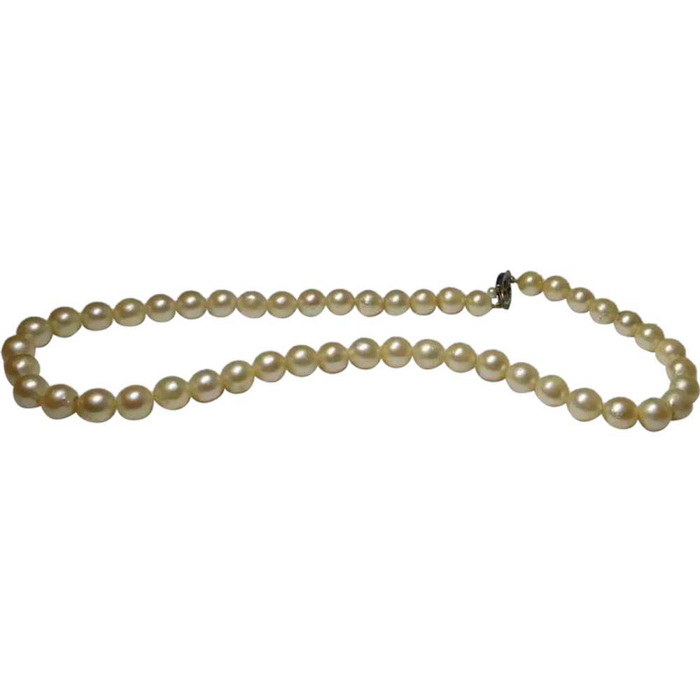 Cream White Freshwater Cultured Pearl Necklace 7.… - image 2