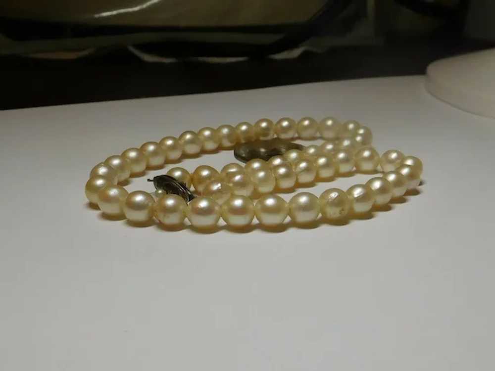 Cream White Freshwater Cultured Pearl Necklace 7.… - image 3