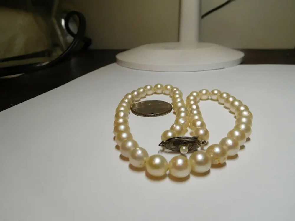 Cream White Freshwater Cultured Pearl Necklace 7.… - image 4